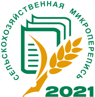 микроперепись
