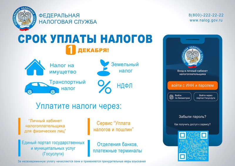 налог