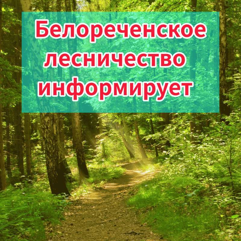 ede96012 77fc 4f7f b1e8 b89c8413c156